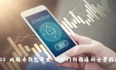 iOS 比特币钱包开发：从入